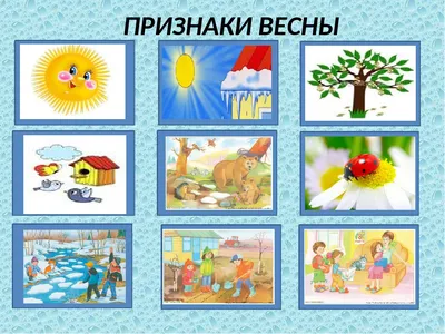 МБДОУ г. Иркутска детский сад № 58, Rused - Единая сеть образовательных  учреждений.