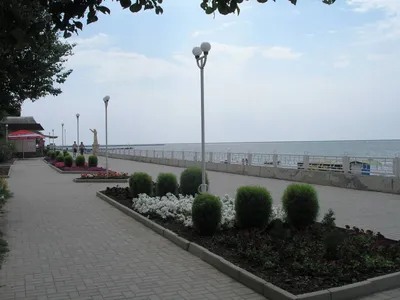 В Ялте Приморский парк станет продолжением набережной - Лента новостей Крыма