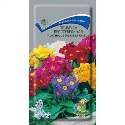 Примула бесстебельная (Primula acaulis)