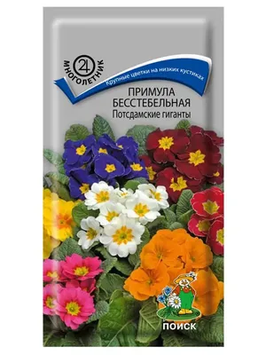 Примула бесстебельная Потсдамские гиганты, 0,05 г, купить в интернет  магазине Seedspost.ru