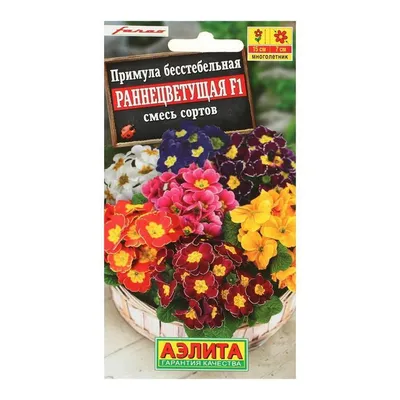 Примула бесстебельная (Primula vulgaris Mark Viette)