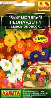 ПОИСК Семена цветов для сада Примула Бесстебельная Весенняя 3 уп.