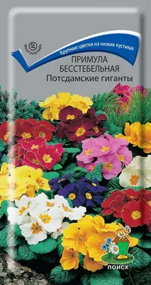 Семена цветов Примула \"бесстебельная\", \"Даниэла\" Абрикос , Мн, F1, 5 шт  (2744017) - Купить по цене от 50.00 руб. | Интернет магазин SIMA-LAND.RU