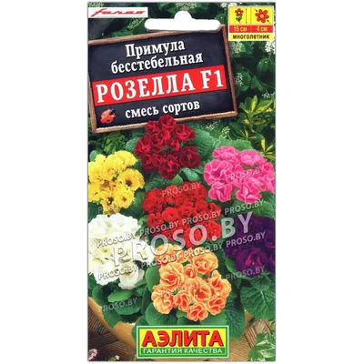 Семена Примула бесстебельная \"Санрайз\", 5 шт (1767033) - Купить по цене от  138.00 руб. | Интернет магазин SIMA-LAND.RU