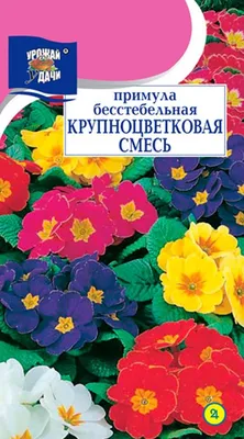 Примула бесстебельная, или обыкновенная (Рrimula vulgaris)