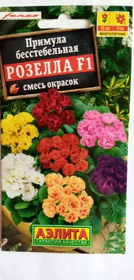 Примула бесстебельная 350 руб, купить, фото, описание