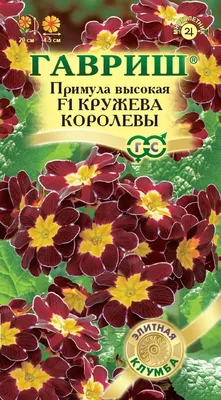 Примула весенняя \"Primula\"