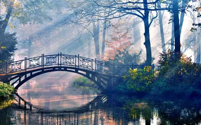 Красивые картинки на рабочий стол природа (64 фото)