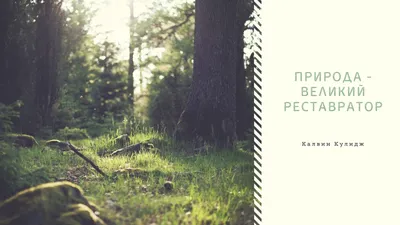 обои на рабочий стол горы крым | Beautiful nature, Beautiful landscapes,  Nature pictures