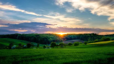 Обои птица, зима, снег, ветка, природа картинки на рабочий стол, фото  скачать бесплатно