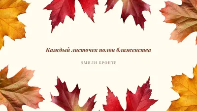 Обои на рабочий стол компьютера, скачать бесплатно красивые картинки и  заставки на экран ПК (PC) | mob.org