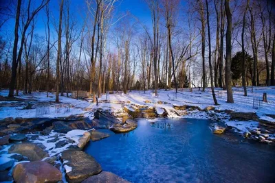 Красивая природа ранней весны - фото и картинки: 71 штук