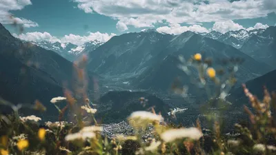 красивый пейзаж. река лес весной. Стоковое Фото - изображение насчитывающей  напольно, берег: 218154966
