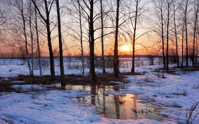 Природа Весна апрель - 89 фото