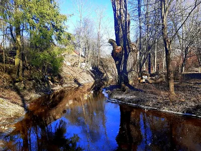 Мартовские пейзажи природы (73 фото) »