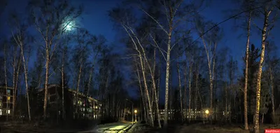 Ранняя весна рисунок легкий - 77 фото