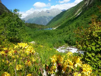 Ранняя весна - красивые картинки (100 фото)