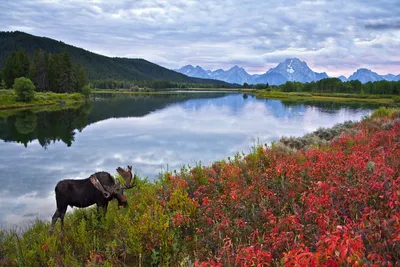 Time Lapse nature of Russia/Природа России - YouTube
