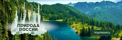 Природа России в картинах Дмитрия Левина