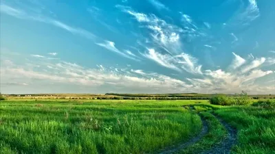 Природа России