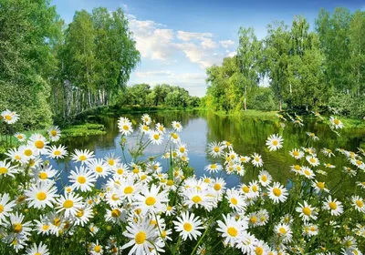 Природа России | Пикабу