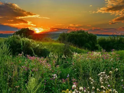 Природа России | Nature of Russia - YouTube