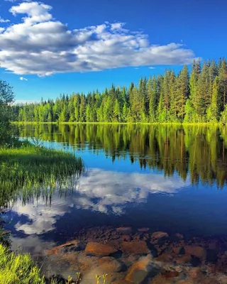 Фотовыставка «Дикая природа России» 2017