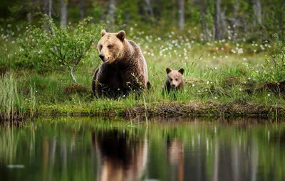 Красота природы России... - Российская земля | Facebook