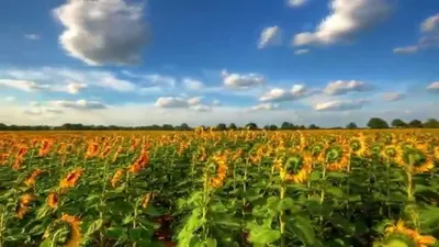 Природа россии картинки - 69 фото