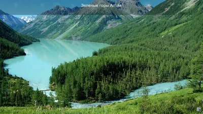 Природа России, реалистично, 4k, …» — создано в Шедевруме