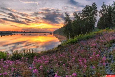 Красивая природа России | Василий | Дзен