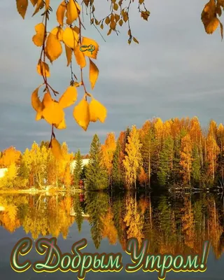 С добрым утром, осень, природа (20 фото) — Красивые картинки