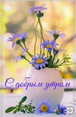 Удивительная природа - Доброе утро! ... :) | Facebook