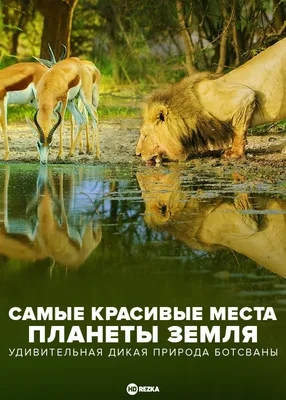 отражение, гора, отражающая туман, самые красивые фотографии природы в мире  фон картинки и Фото для бесплатной загрузки