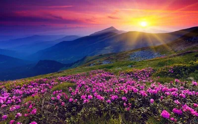 Самые красивые закаты, природа, океан, все что нужно для релакса. Но как  выяснилось, это не для меня. ✓Я была на Мальдивах, но вряд ли… | Instagram