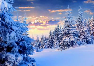 Природа зима обои фото фотографии
