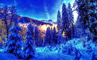 Новогодний фон, природа, зима, …» — создано в Шедевруме