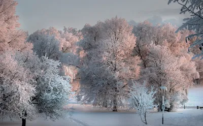 Обои холм, снег, природа, зима картинки на рабочий стол, фото скачать  бесплатно