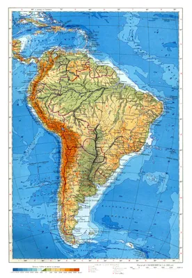 Природные зоны Южной Америки: географическое положение экваториальных  лесов, степи, амазонская сельва, положение саванны, пампа, льянос Южной  Америки