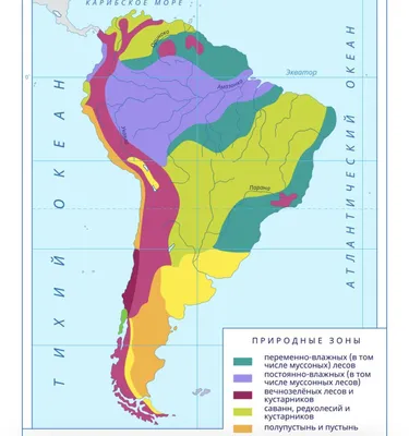 Природные зоны Южной Америки — карта, названия, географическая  характеристика и таблица — Природа Мира