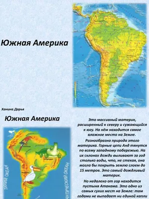 Презентация \"Природные зоны Южной Америки\" (6 класс) по географии – скачать  проект