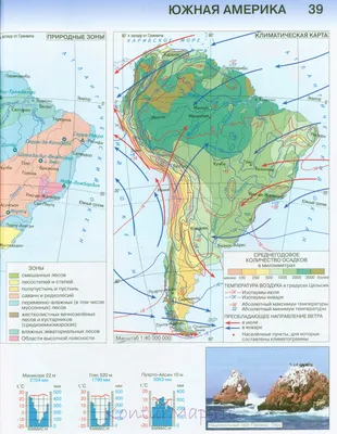 7 класс Южная Америка Природные зоны Составитель: Даянов А. А. Учитель  географии - биологии МОУ «Шумовская СОШ». - скачать презентацию