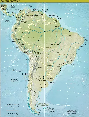 Южная Америка. Природные зоны • География, Южная Америка • Фоксфорд Учебник
