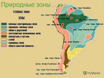 Конспект \"Южная Америка: природные зоны, население и страны\"