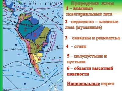 Природные зоны. Южная Америка — материк влажных тропических лесов