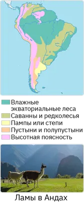 Природные зоны Южной Америки - online presentation