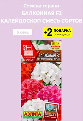 Пеларгонии (Герань) Проверенные семена Балконная Калейдоскоп смесь сортов -  купить по выгодным ценам в интернет-магазине OZON (1204928783)