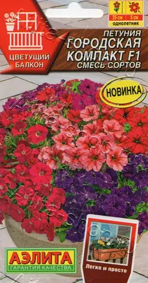 Как правильно прищипывать петунию для обильного цветения | ivd.ru