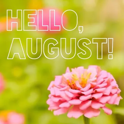 Привет, в августе в букете цветов и светлой Стоковое Фото - изображение  насчитывающей годовщина, концепции: 180342932