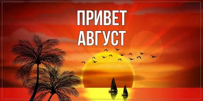 Привет, август)